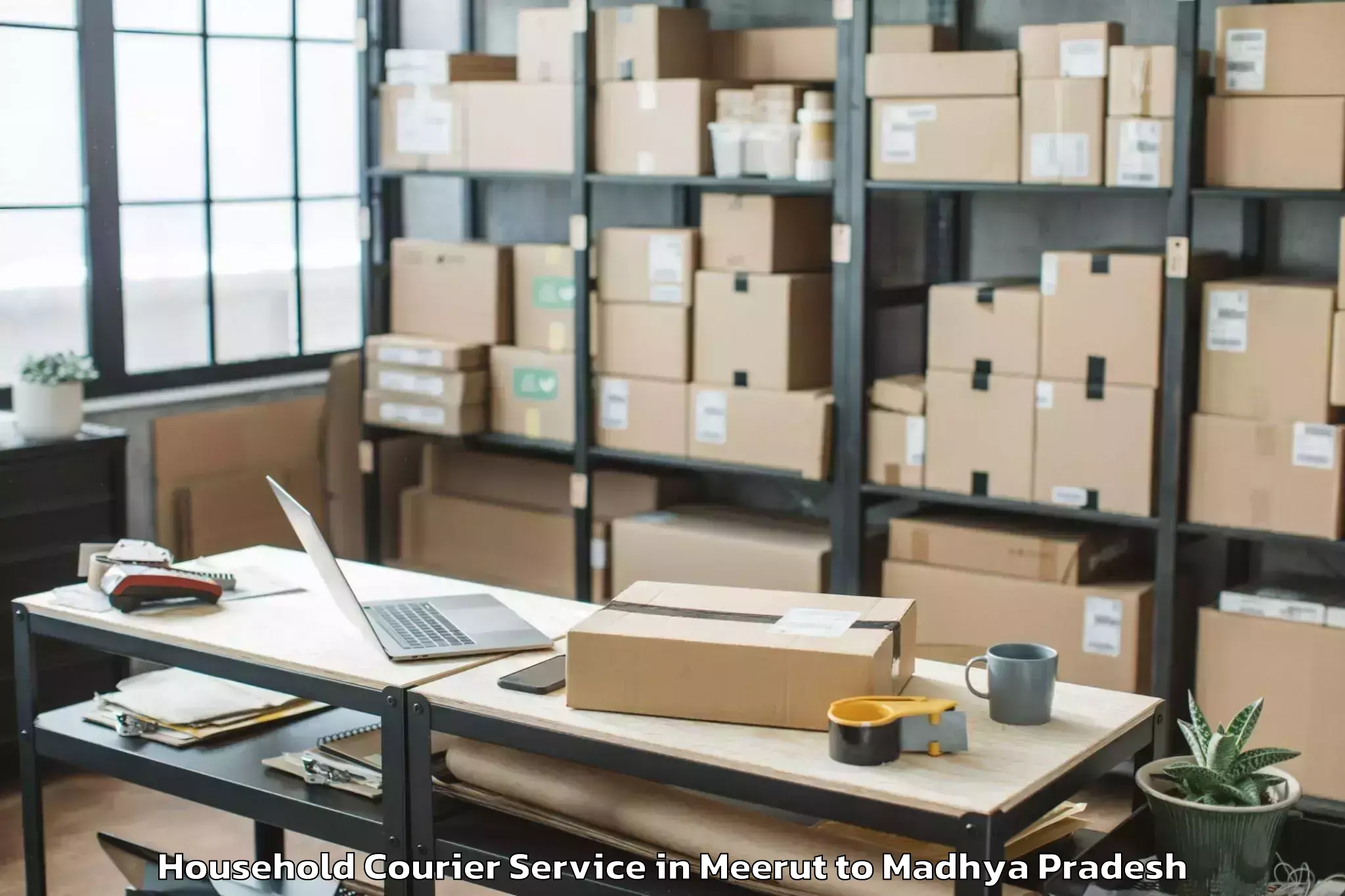 Book Meerut to Manpur Household Courier